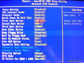 双台子区专业电脑维护与信息技术咨询服务指南